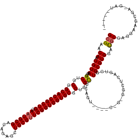 secondary structure