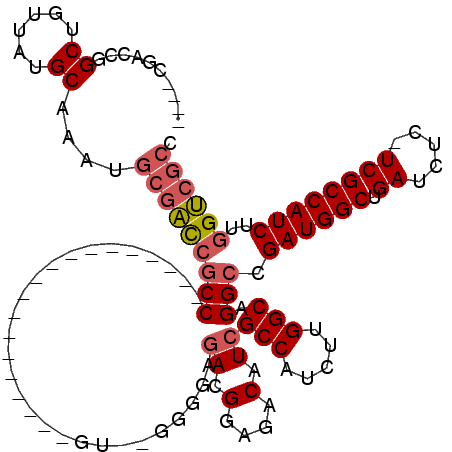 secondary structure