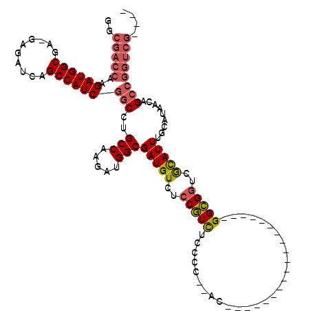 secondary structure