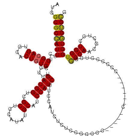 secondary structure