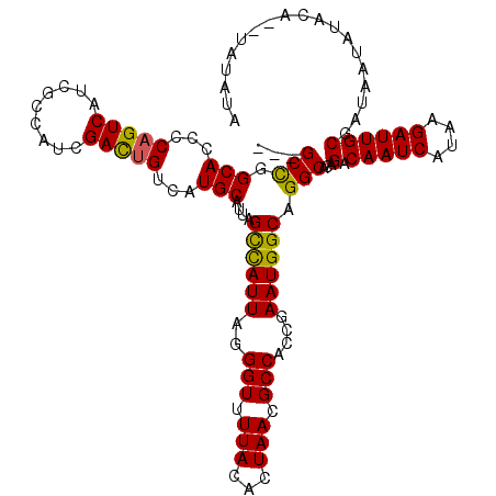 secondary structure