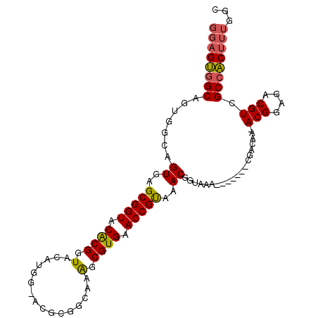 secondary structure