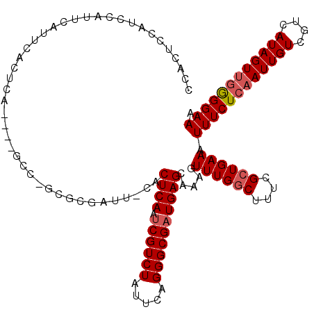 secondary structure
