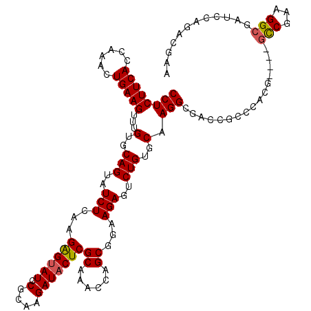 secondary structure
