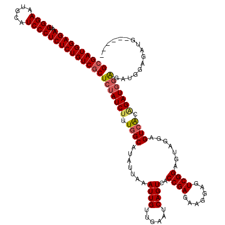 secondary structure