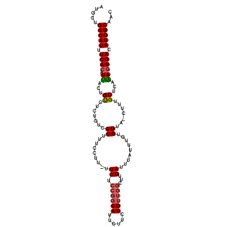secondary structure