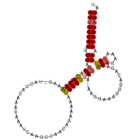 secondary structure