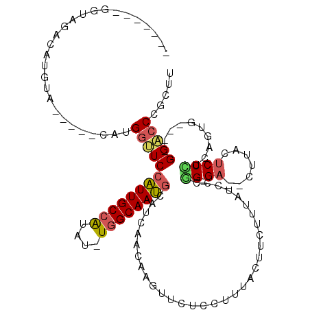 secondary structure