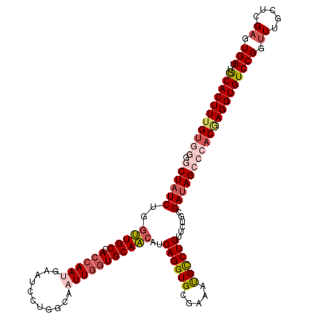 secondary structure