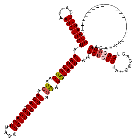 secondary structure