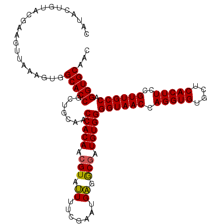secondary structure