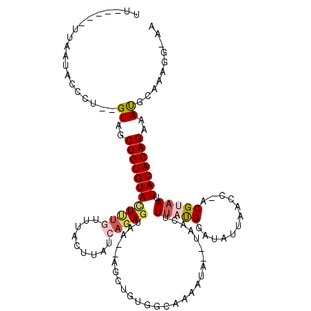 secondary structure