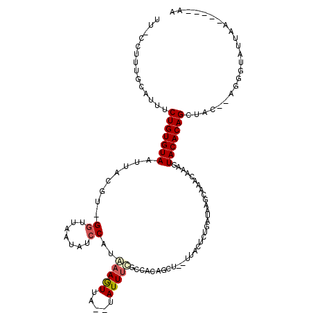 secondary structure