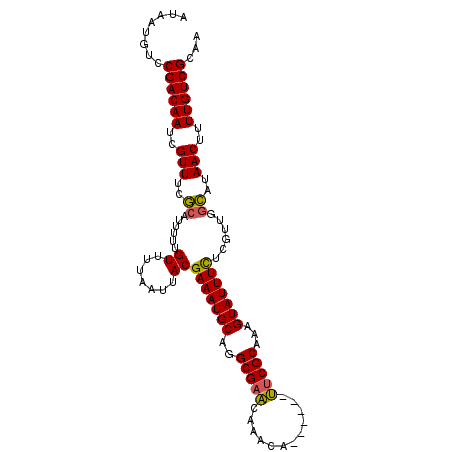 secondary structure