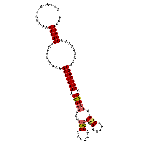 secondary structure