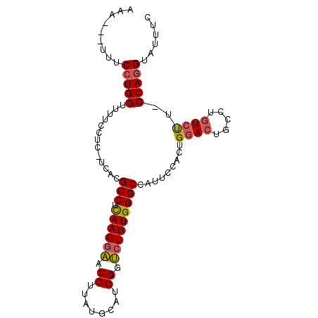 secondary structure