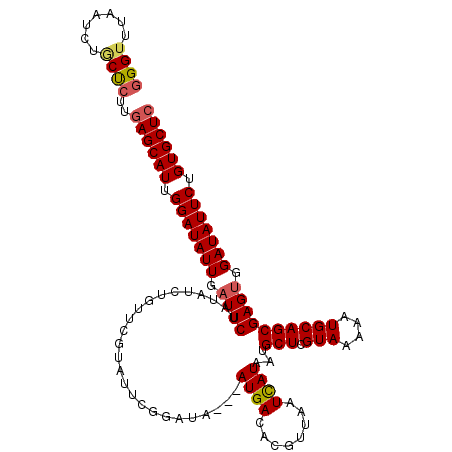 secondary structure