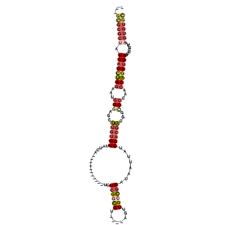 secondary structure