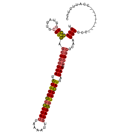 secondary structure