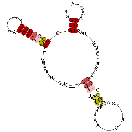 secondary structure