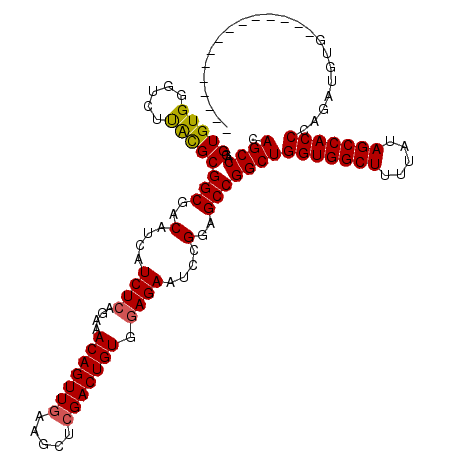 secondary structure