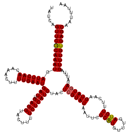 secondary structure