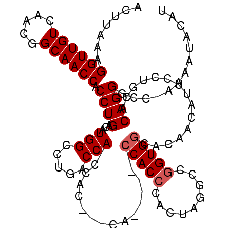 secondary structure