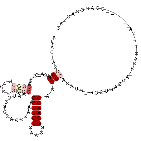 secondary structure