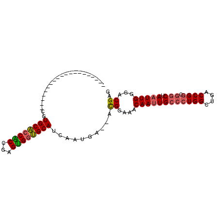 secondary structure
