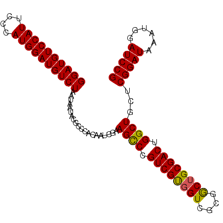 secondary structure