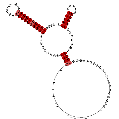secondary structure