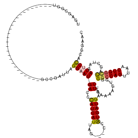 secondary structure
