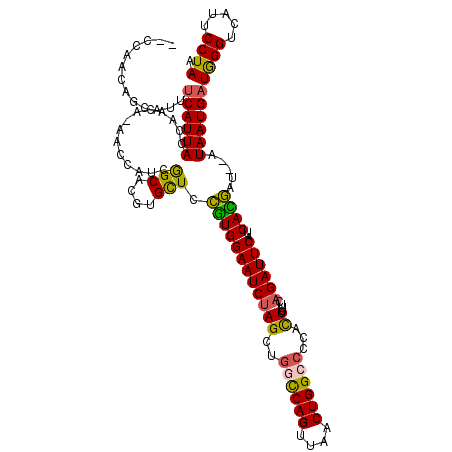 secondary structure