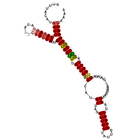 secondary structure