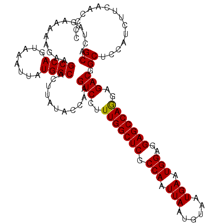 secondary structure