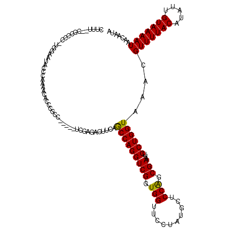 secondary structure