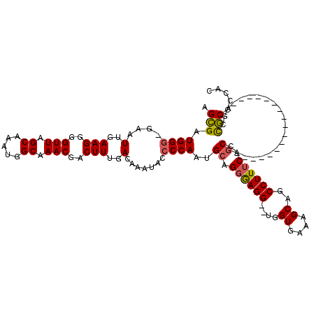 secondary structure