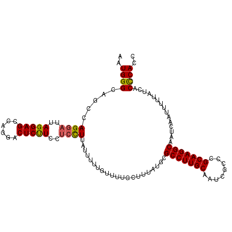 secondary structure