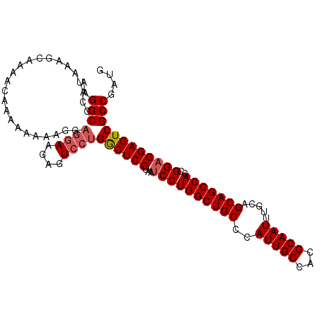 secondary structure