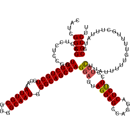 secondary structure