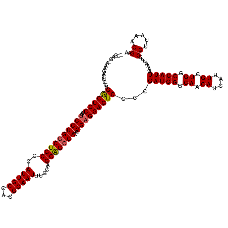 secondary structure