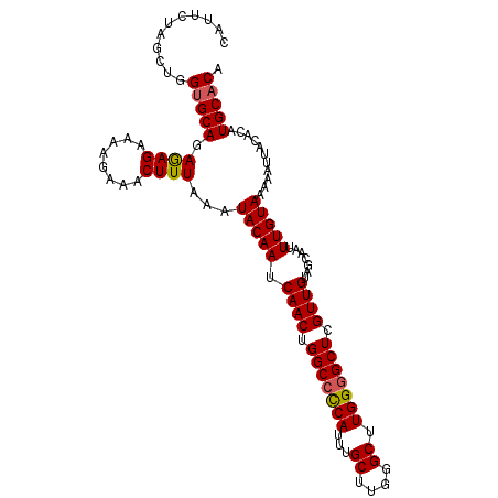 secondary structure
