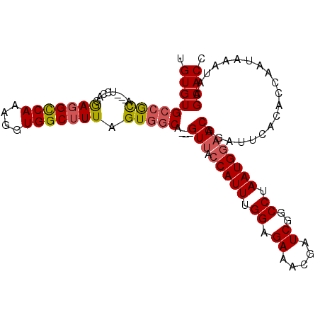 secondary structure