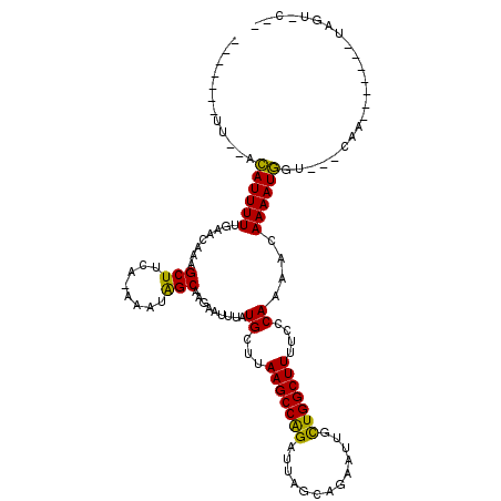 secondary structure