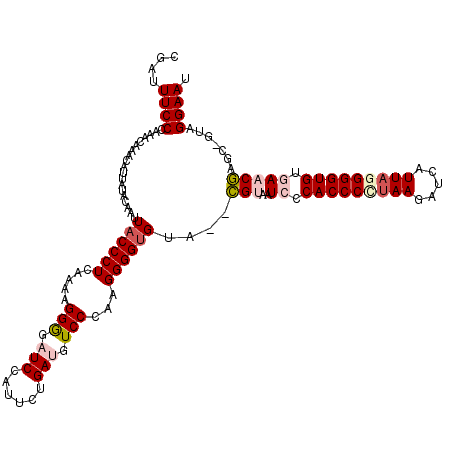 secondary structure