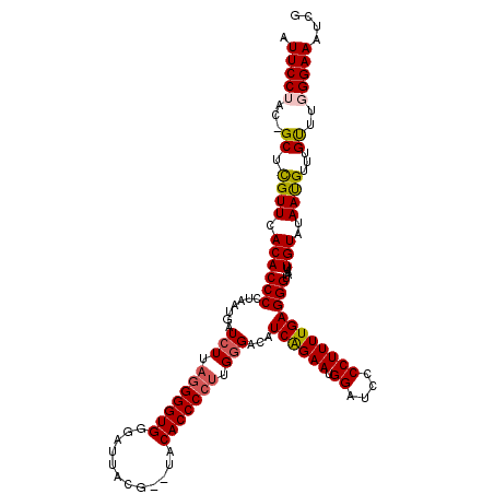 secondary structure