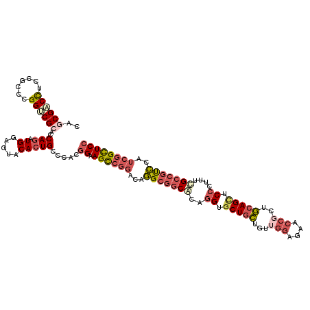 secondary structure