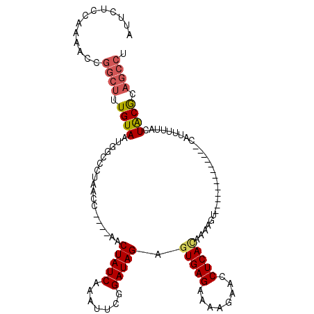 secondary structure