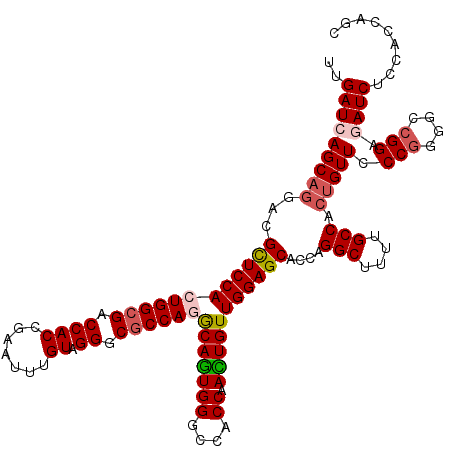 secondary structure
