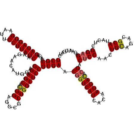secondary structure
